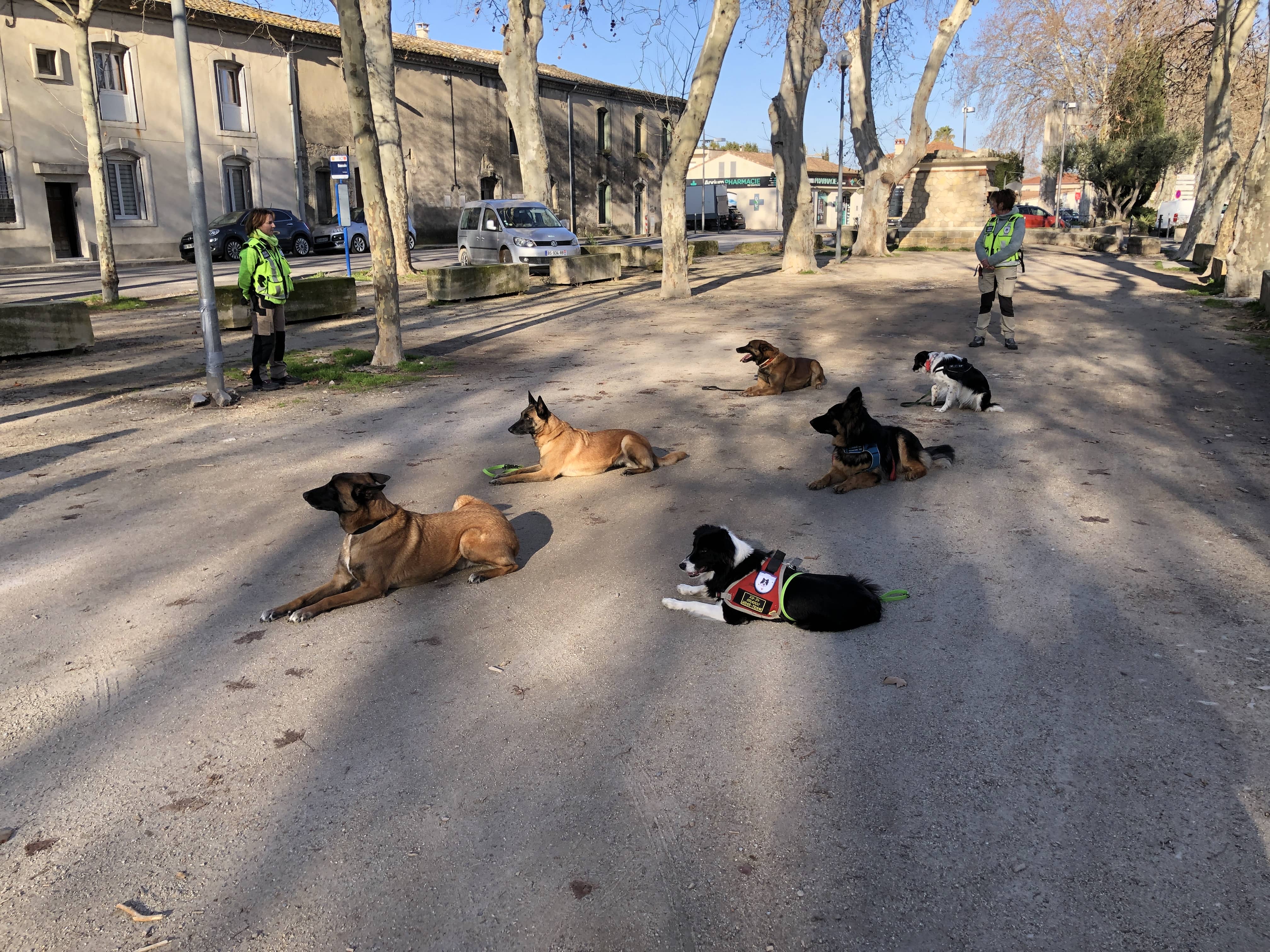 Préformation Stagiaires
